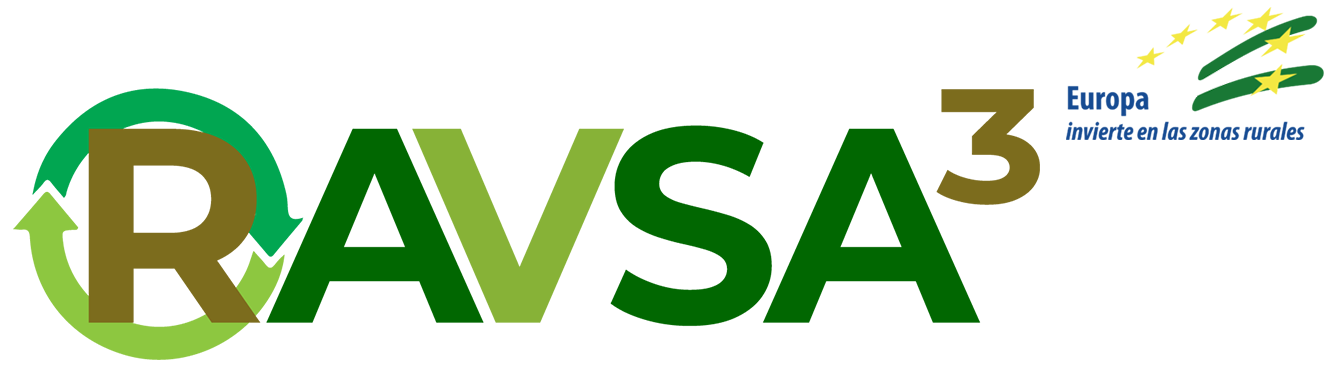 Ravsa3 Logo